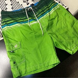 Green Striped Men's Swim Trunks